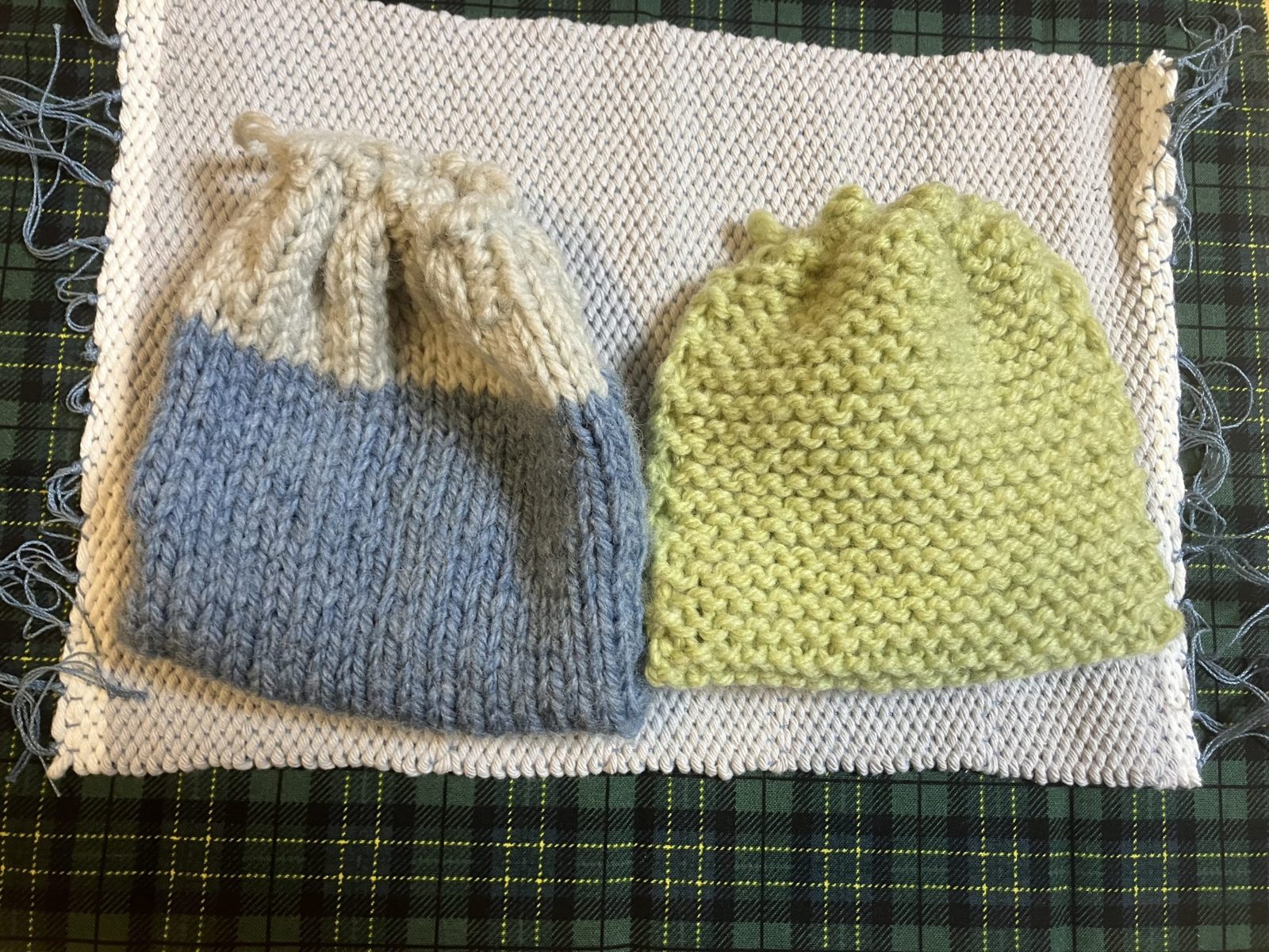 シマエナガ の作品